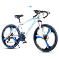 26" 21 Speed Mountain Bike with Double Disc Brakes